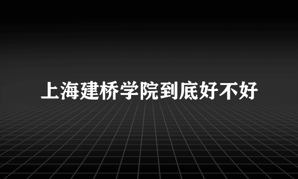 上海建桥学院到底好不好