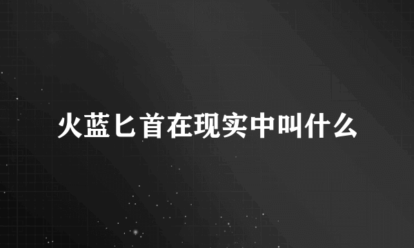 火蓝匕首在现实中叫什么