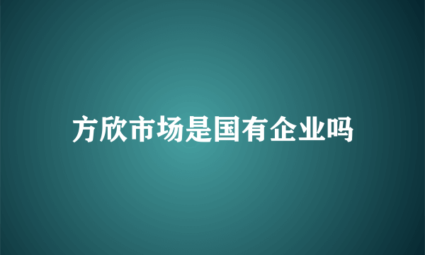 方欣市场是国有企业吗