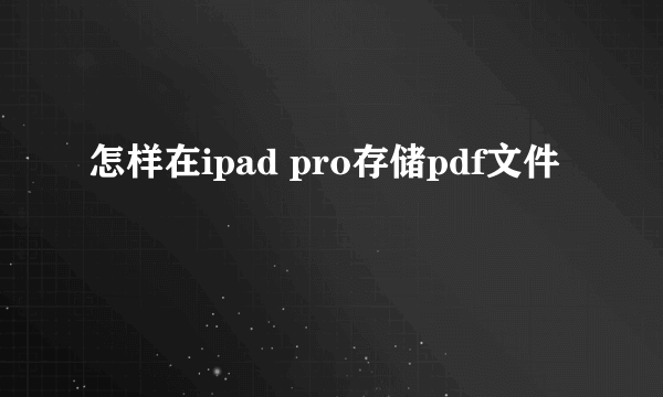 怎样在ipad pro存储pdf文件