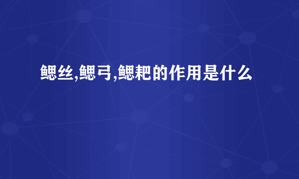 鳃丝,鳃弓,鳃耙的作用是什么