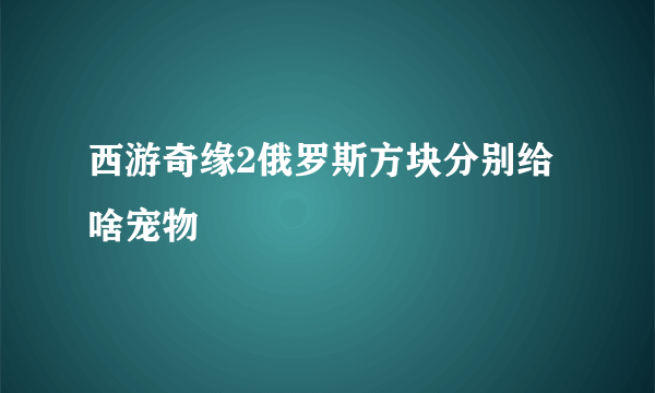 西游奇缘2俄罗斯方块分别给啥宠物