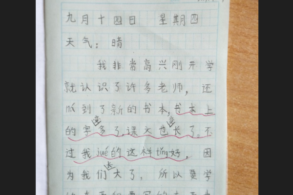 周记的开头怎么写？