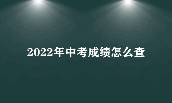 2022年中考成绩怎么查