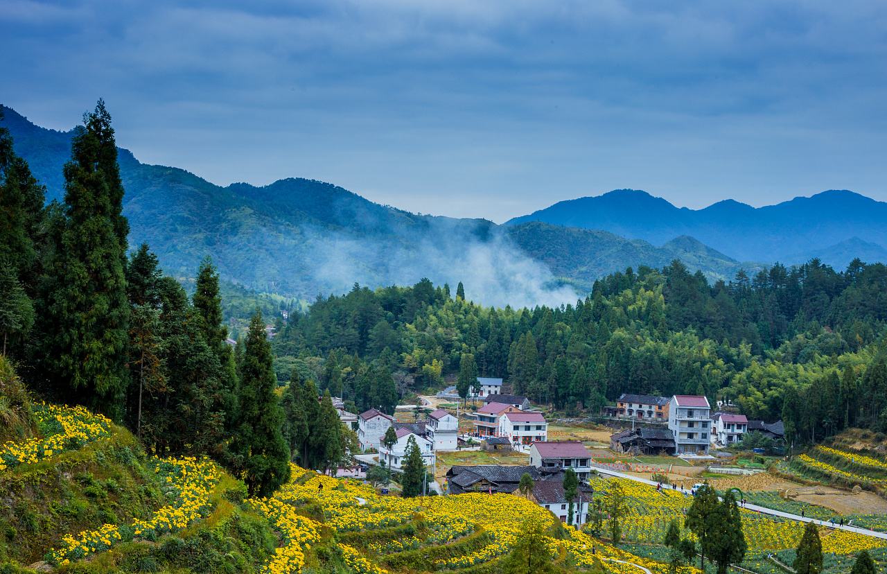 采菊东篱下,悠然见南山的赏析