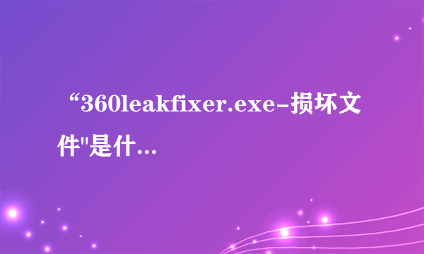 “360leakfixer.exe-损坏文件