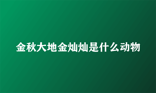 金秋大地金灿灿是什么动物