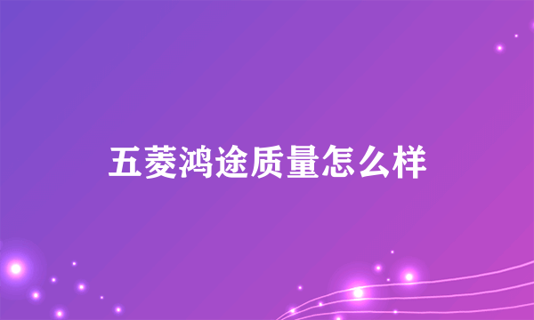 五菱鸿途质量怎么样