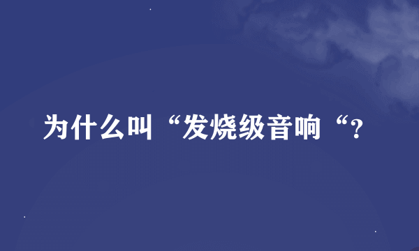 为什么叫“发烧级音响“？