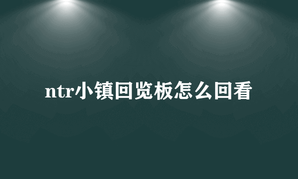 ntr小镇回览板怎么回看