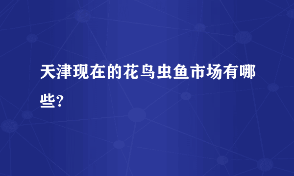 天津现在的花鸟虫鱼市场有哪些?