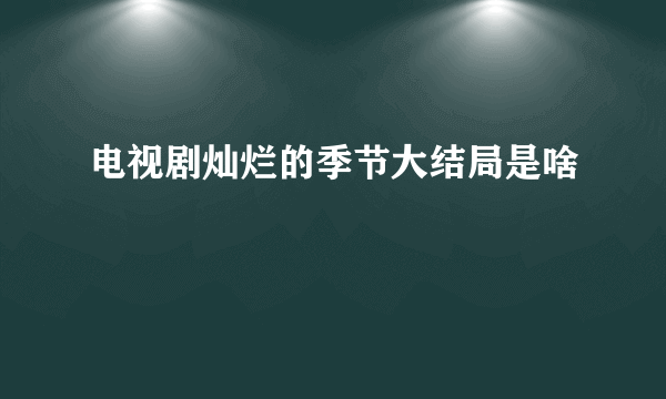 电视剧灿烂的季节大结局是啥