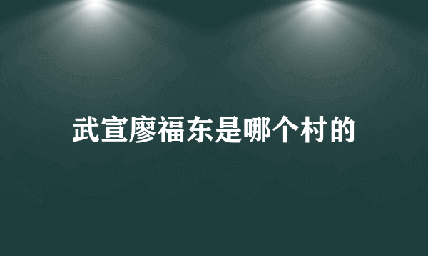 武宣廖福东是哪个村的