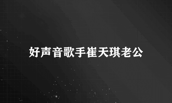 好声音歌手崔天琪老公