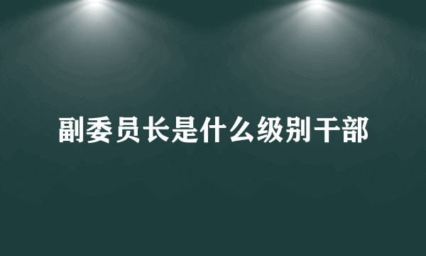 副委员长是什么级别干部