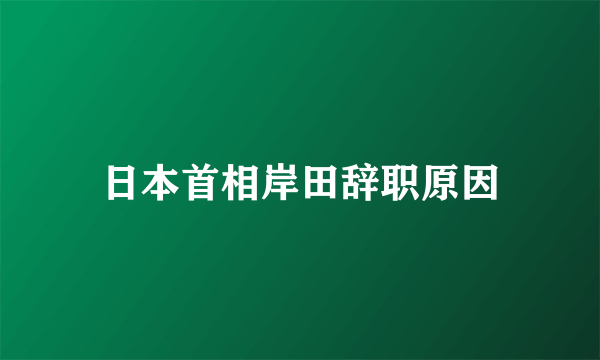 日本首相岸田辞职原因