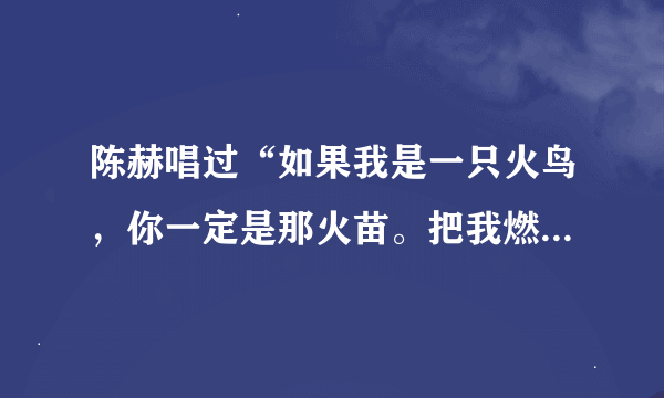 陈赫唱过“如果我是一只火鸟，你一定是那火苗。把我燃烧。”， 这歌名叫什么？