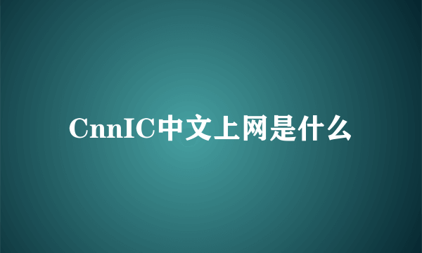 CnnIC中文上网是什么