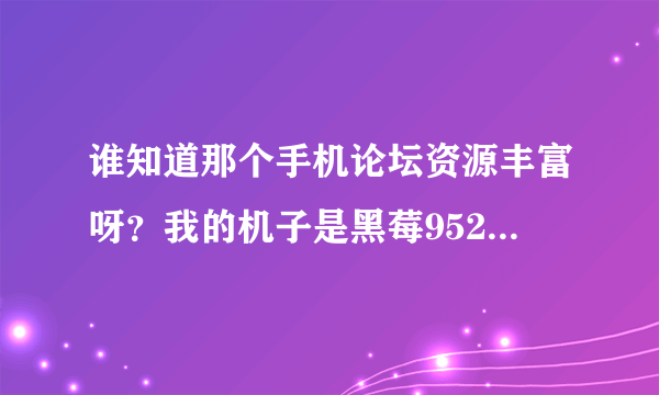 谁知道那个手机论坛资源丰富呀？我的机子是黑莓9520·谢谢