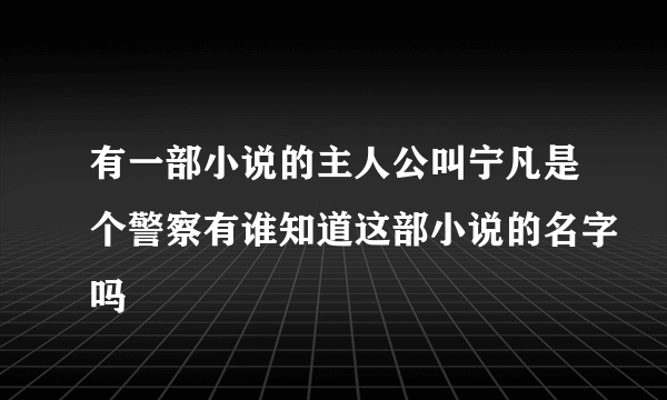 有一部小说的主人公叫宁凡是个警察有谁知道这部小说的名字吗