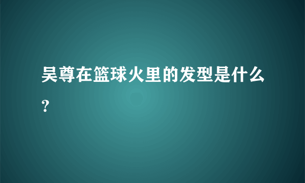 吴尊在篮球火里的发型是什么？