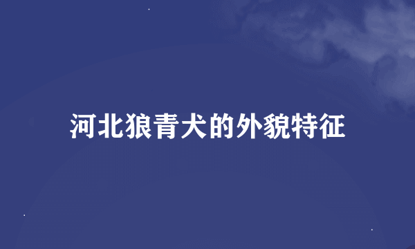 河北狼青犬的外貌特征