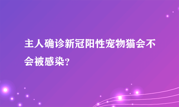 主人确诊新冠阳性宠物猫会不会被感染？