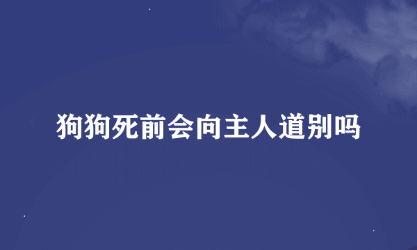 狗狗死前会向主人道别吗