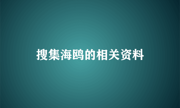 搜集海鸥的相关资料