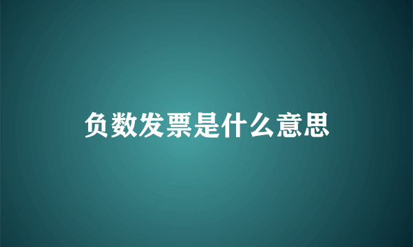 负数发票是什么意思