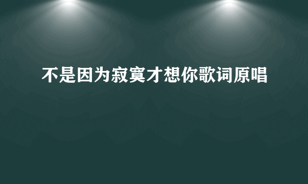 不是因为寂寞才想你歌词原唱