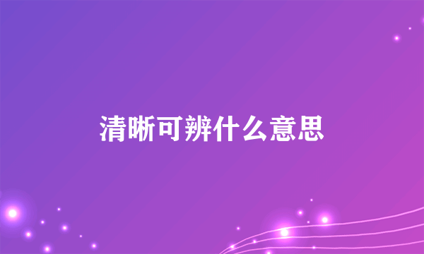 清晰可辨什么意思