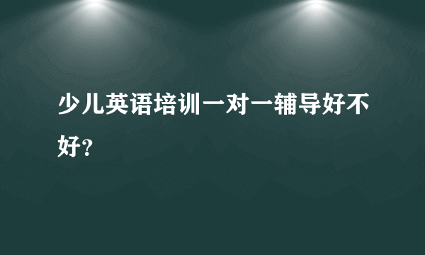 少儿英语培训一对一辅导好不好？