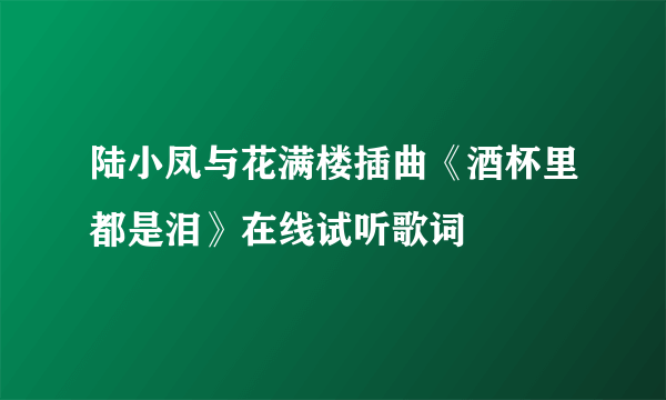 陆小凤与花满楼插曲《酒杯里都是泪》在线试听歌词