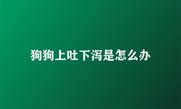 狗狗上吐下泻是怎么办