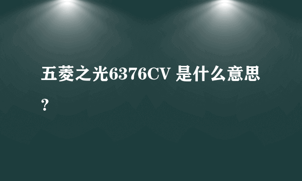 五菱之光6376CV 是什么意思？