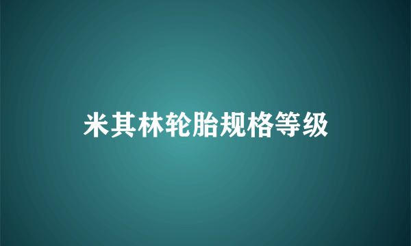 米其林轮胎规格等级