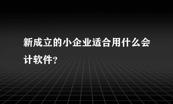 新成立的小企业适合用什么会计软件？