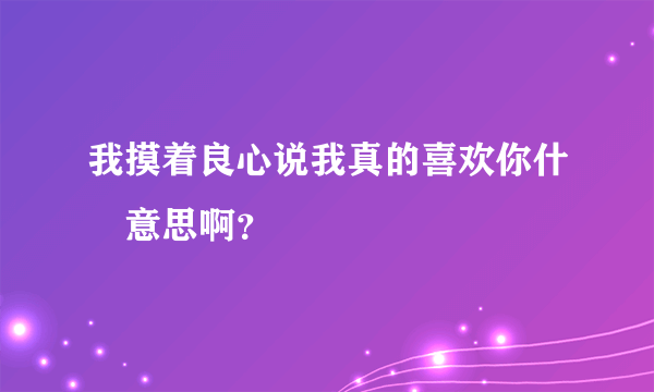 我摸着良心说我真的喜欢你什麼意思啊？