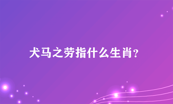 犬马之劳指什么生肖？