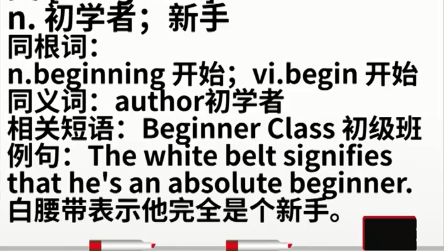 beginner什么意思