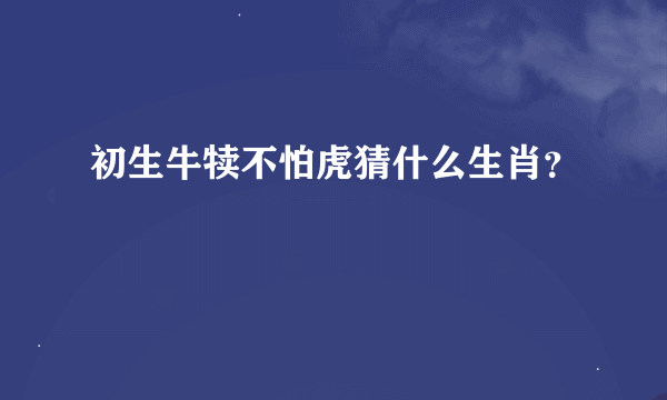 初生牛犊不怕虎猜什么生肖？