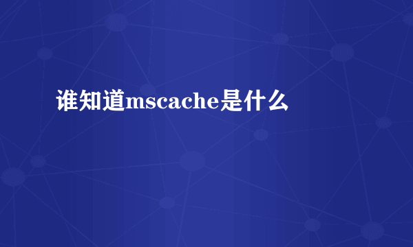 谁知道mscache是什么