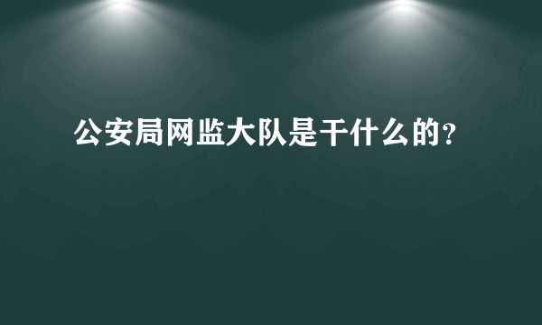 公安局网监大队是干什么的？