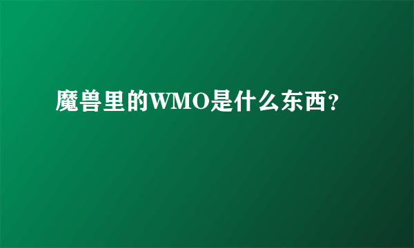 魔兽里的WMO是什么东西？