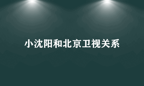 小沈阳和北京卫视关系