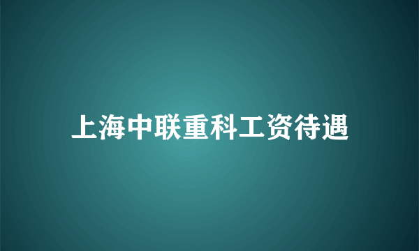 上海中联重科工资待遇