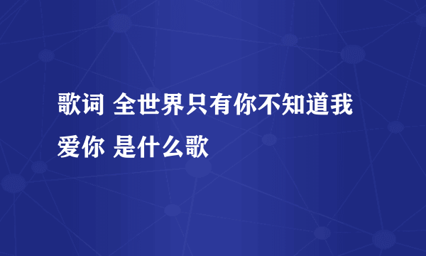 歌词 全世界只有你不知道我爱你 是什么歌