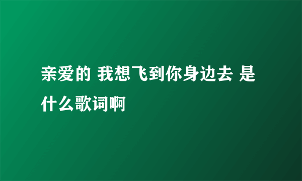 亲爱的 我想飞到你身边去 是什么歌词啊