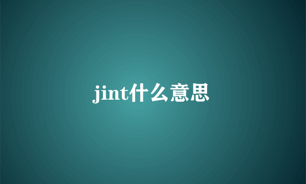 jint什么意思